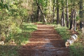 Nature and Hiking in Lake Charles