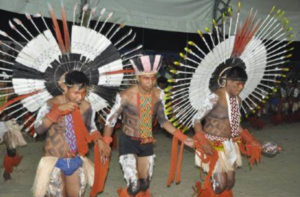 Festival Nacional Indigena