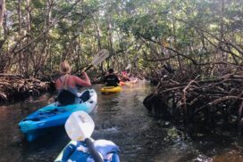 Mangrove Tunnels Kayak Tour
