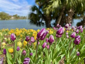 New Orleans City Park - Outdoor Recreation