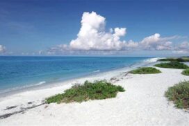 Sanibel Island