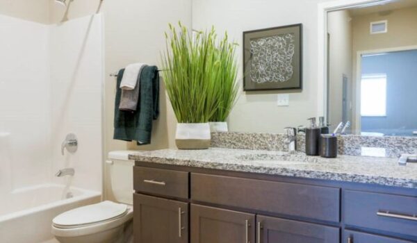 WH-Flats-one-bedroom-apartment-south-Lincoln-NE-50-653×450-1-600×350