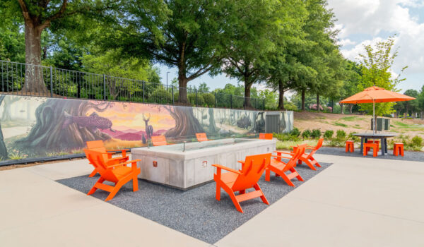 eden-at-lakeview-alpharetta-ga-building-photo-5-600×350