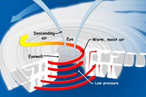 Diagram showing a tropical cyclone’s eye, eyewall, low pressure, and warm moist air